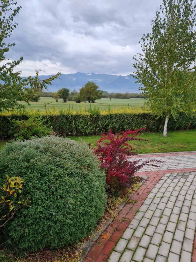 Guesthouse Green Fields Garmen Exteriör bild